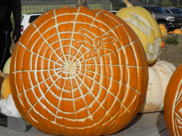 Pumpkin Carving Idea Spider